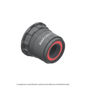 DT Swiss Corpetto Ruota Libera Ratchet EXP SRAM XD Alluminio Nero