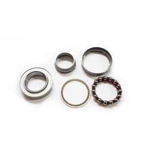FULCRUM Kit revisione mozzo RS-100